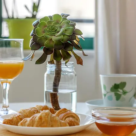 Theseus Zen Luxury - Natural Living アパート *